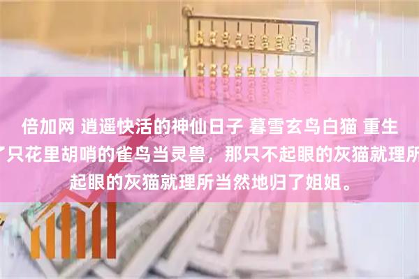 倍加网 逍遥快活的神仙日子 暮雪玄鸟白猫 重生前，我给自己挑了只花里胡哨的雀鸟当灵兽，那只不起眼的灰猫就理所当然地归了姐姐。