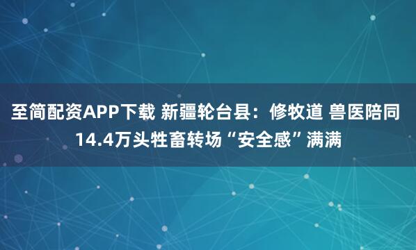 至简配资APP下载 新疆轮台县：修牧道 兽医陪同 14.4万头牲畜转场“安全感”满满
