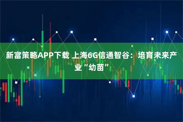 新富策略APP下载 上海6G信通智谷：培育未来产业“幼苗”