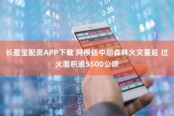 长盈宝配资APP下载 阿根廷中部森林火灾蔓延 过火面积逾5500公顷