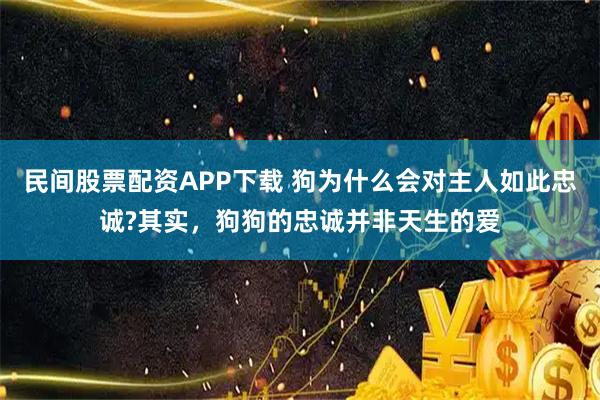民间股票配资APP下载 狗为什么会对主人如此忠诚?其实，狗狗的忠诚并非天生的爱