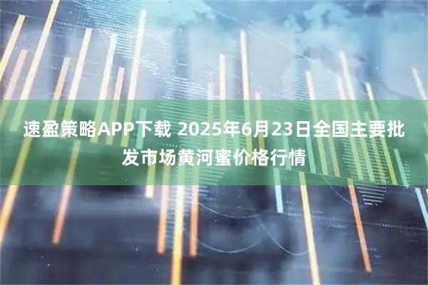 速盈策略APP下载 2025年6月23日全国主要批发市场黄河蜜价格行情