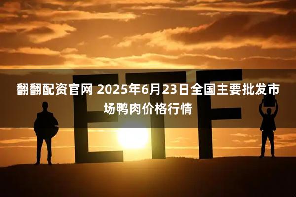 翻翻配资官网 2025年6月23日全国主要批发市场鸭肉价格行情